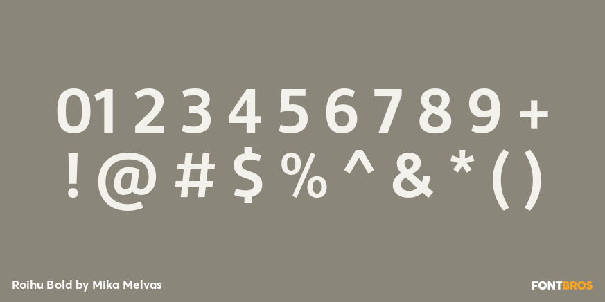 Roihu Bold Font Poster #4