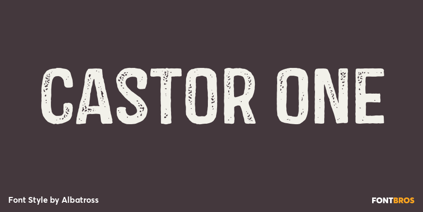 Castor One Poster