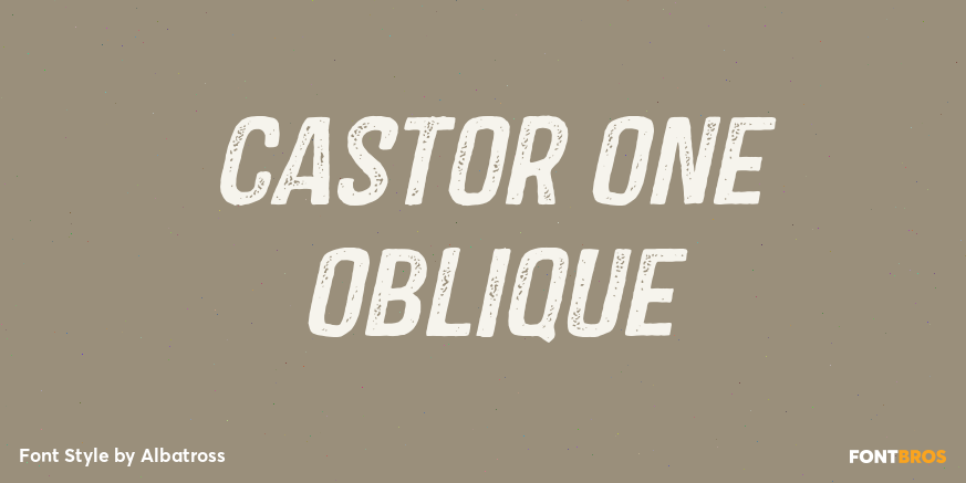 Castor One Oblique Poster