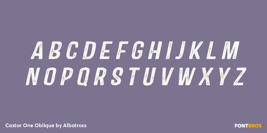 Castor One Oblique Font Poster #1