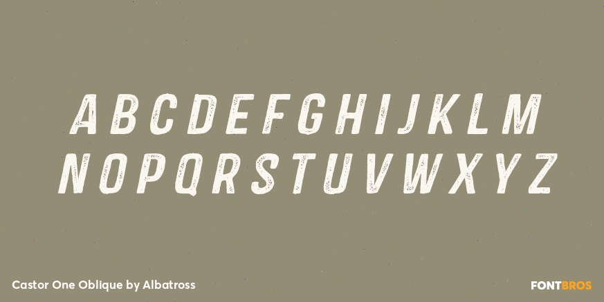 Castor One Oblique Font Poster #1