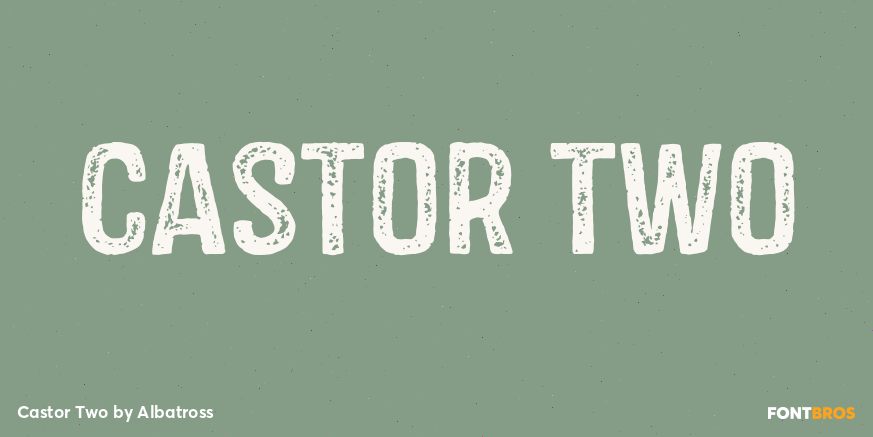 Castor Two Font Poster #1