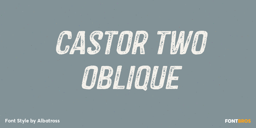 Castor Two Oblique Poster