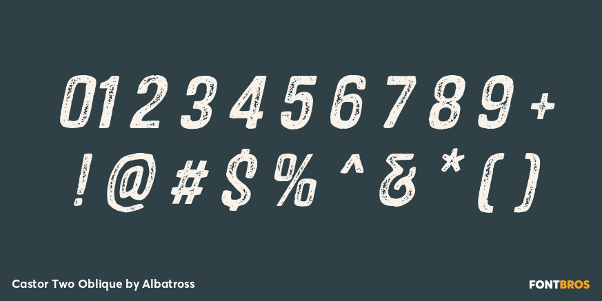 Castor Two Oblique Font Poster #1