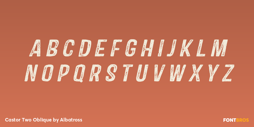 Castor Two Oblique Font Poster #1