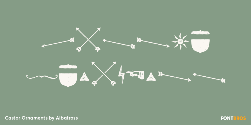 Castor Ornaments Poster