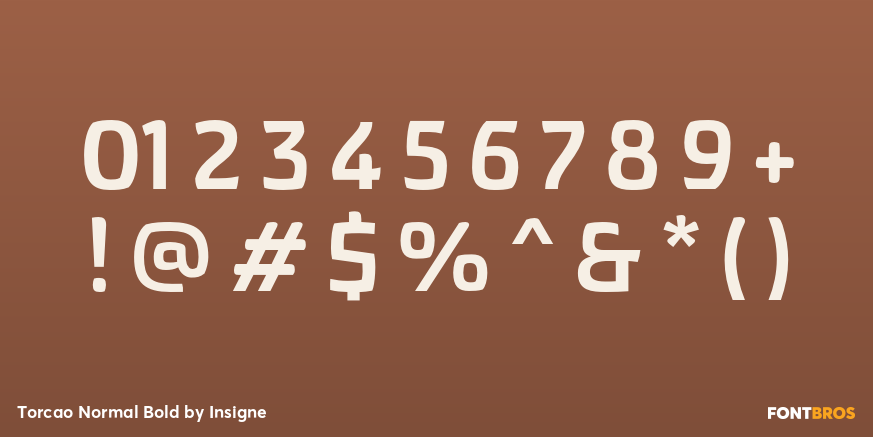 Torcao Normal Bold Font Poster #4