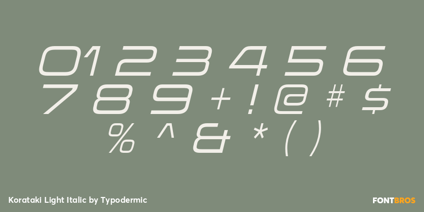 Korataki Light Italic Font Poster #4