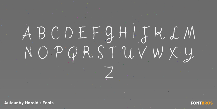Auteur Font Poster #1