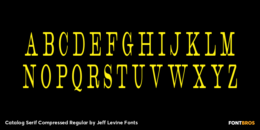 Catalog Serif Compressed Regular Font Poster #2