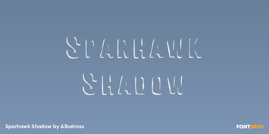 Sparhawk Shadow Poster