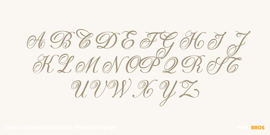 Donna Bodoni Aa Script Font Poster #1