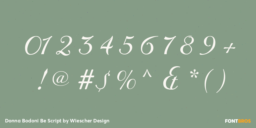 Donna Bodoni Be Script Font Poster #4