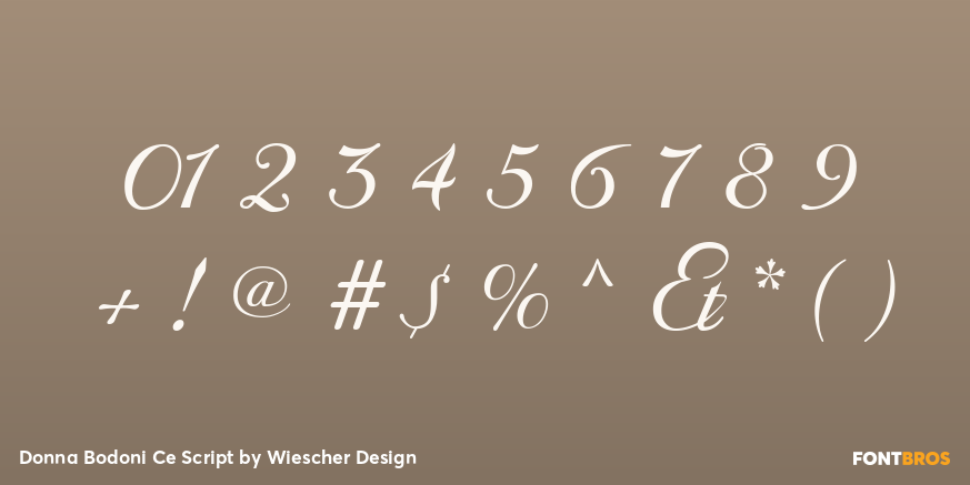 Donna Bodoni Ce Script Font Poster #4