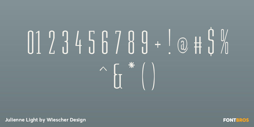 Julienne Light Font Poster #4