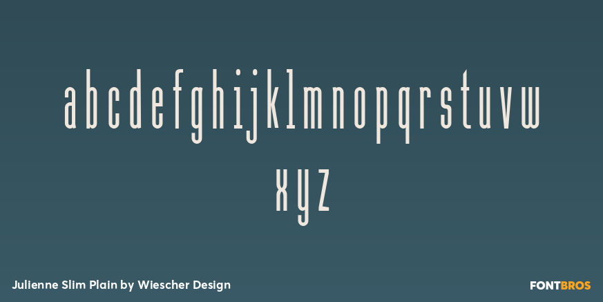Julienne Slim Plain Font Poster #1