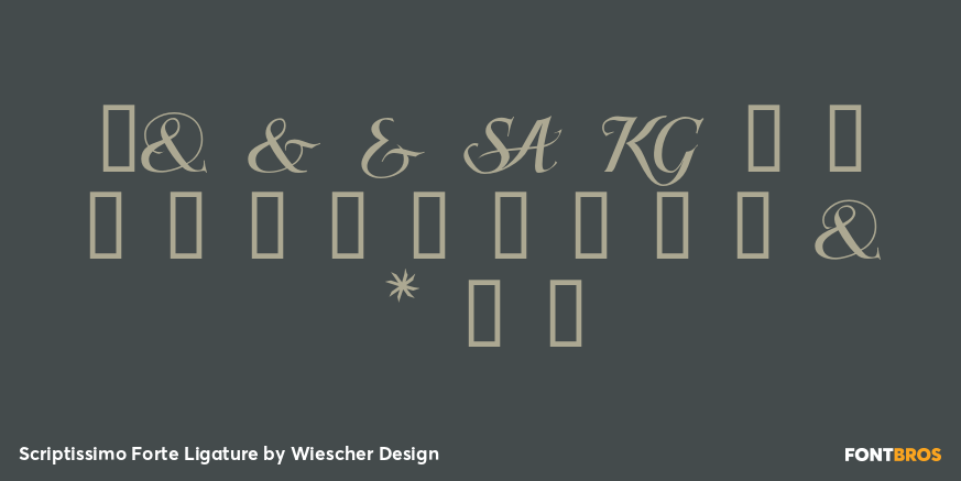 Scriptissimo Forte Ligature Font Poster #4