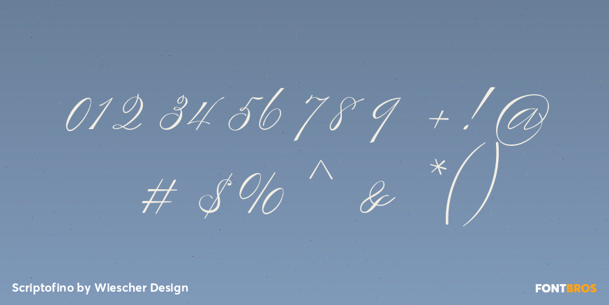 Scriptofino Font Poster #1