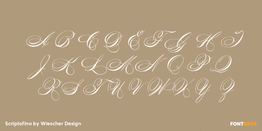 Scriptofino Font Poster #1