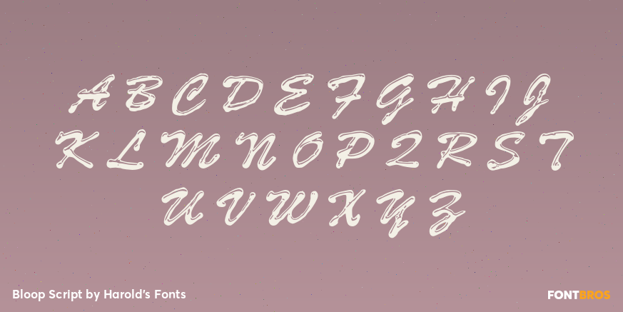 Bloop Script Font Poster #1