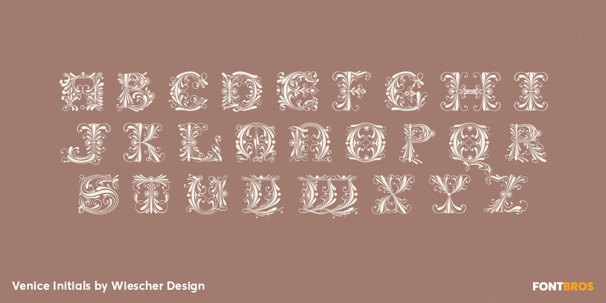 Venice Initials Font Poster #1
