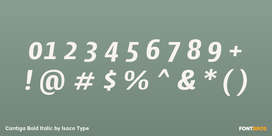 Cantiga Bold Italic Font Poster #4