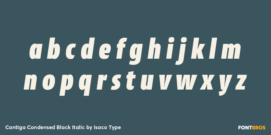 Cantiga Condensed Black Italic Font Poster #3