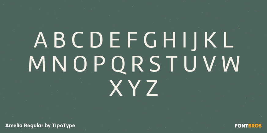Amelia Regular Font Poster #2