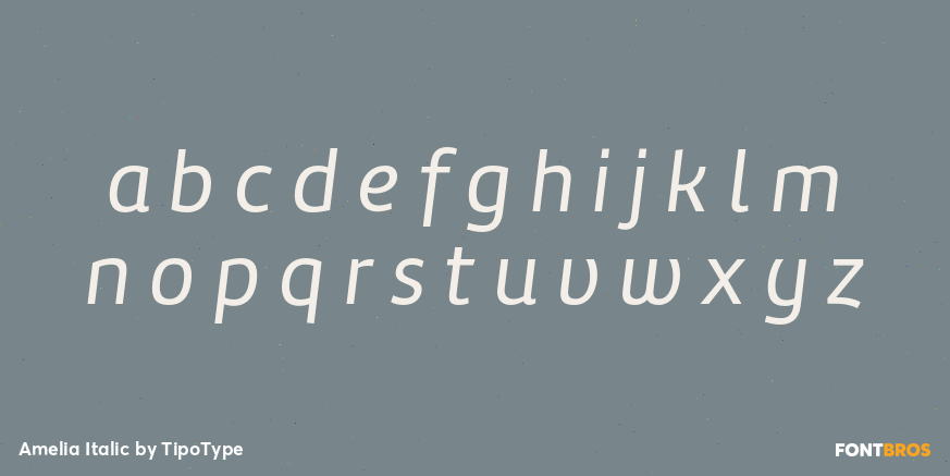 Amelia Italic Font Poster #3