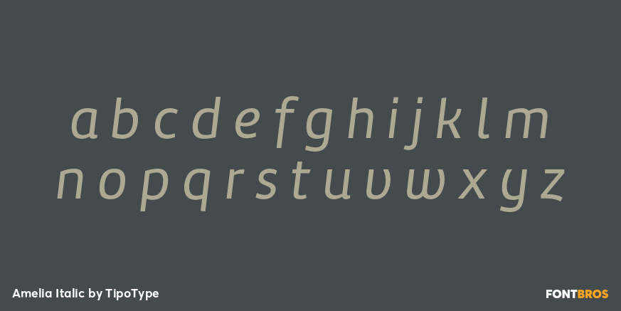 Amelia Italic Font Poster #1