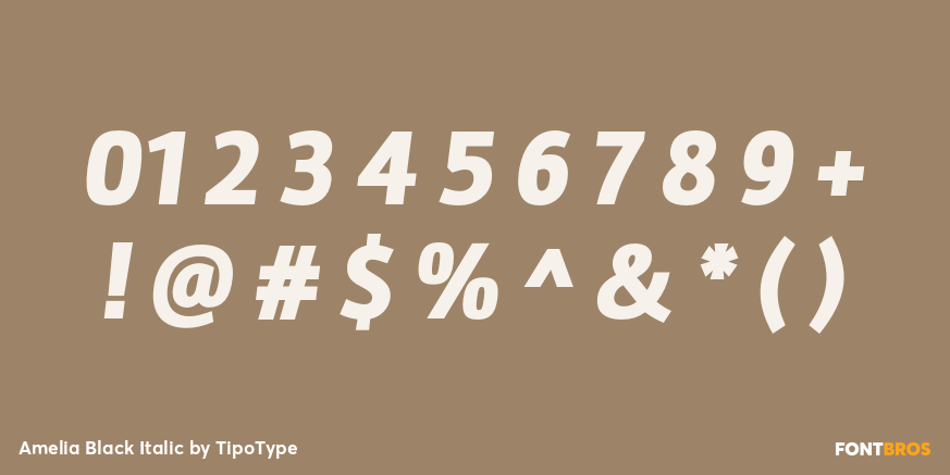 Amelia Black Italic Font Poster #4