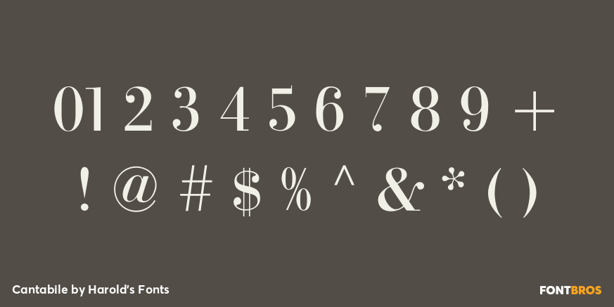 Cantabile Font Poster #4