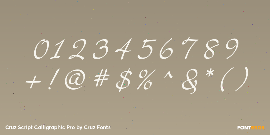 Cruz Script Calligraphic Pro Font Poster #1