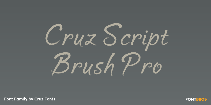 Cruz Script Brush Pro Poster