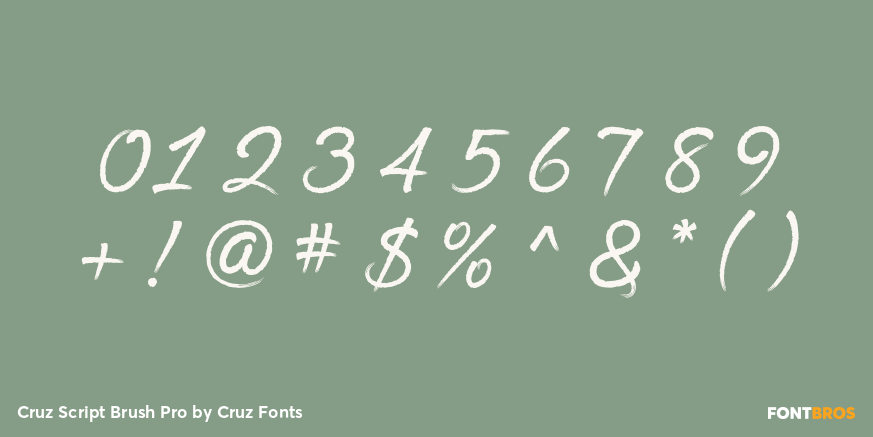 Cruz Script Brush Pro Font Poster #1