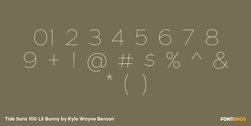 Tide Sans 100 Lil Bunny Font Poster #1