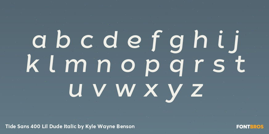 Tide Sans 400 Lil Dude Italic Font Poster #3