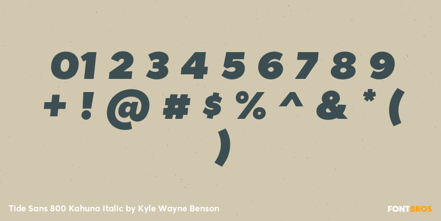 Tide Sans 800 Kahuna Italic Font Poster #4