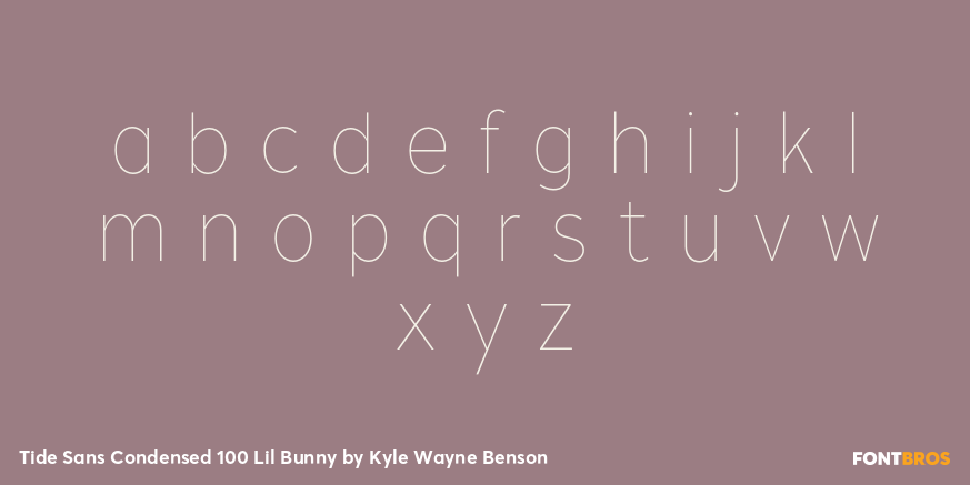 Tide Sans Condensed 100 Lil Bunny Font Poster #3