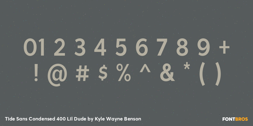 Tide Sans Condensed 400 Lil Dude Font Poster #4