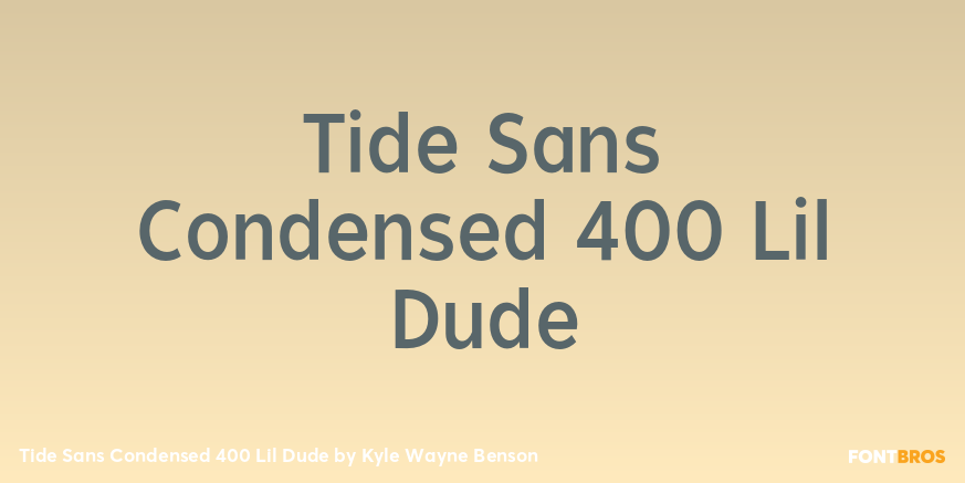 Tide Sans Condensed 400 Lil Dude Font Poster #1