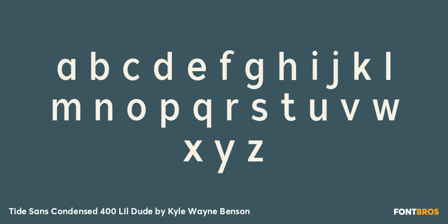 Tide Sans Condensed 400 Lil Dude Font Poster #3