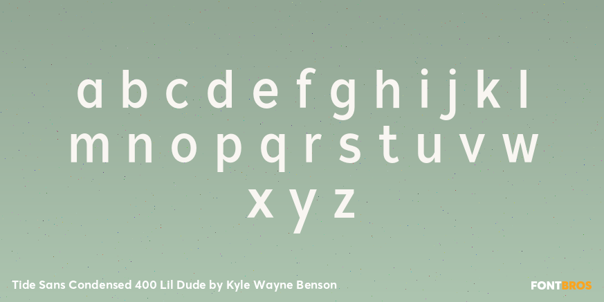 Tide Sans Condensed 400 Lil Dude Font Poster #3