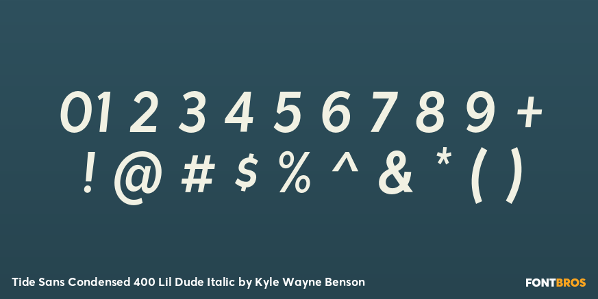 Tide Sans Condensed 400 Lil Dude Italic Font Poster #4