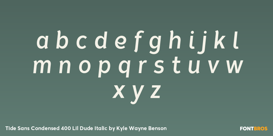 Tide Sans Condensed 400 Lil Dude Italic Font Poster #3