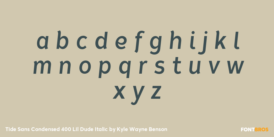 Tide Sans Condensed 400 Lil Dude Italic Font Poster #3