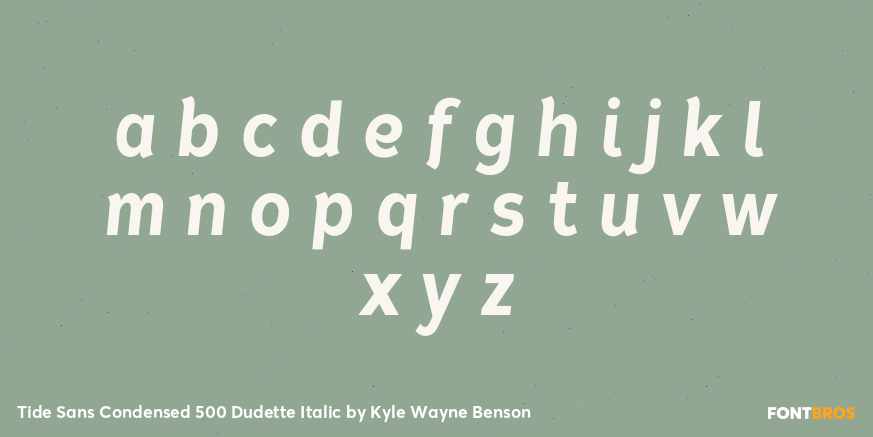 Tide Sans Condensed 500 Dudette Italic Font Poster #3