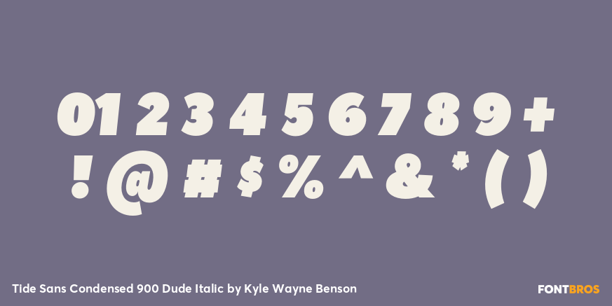 Tide Sans Condensed 900 Dude Italic Font Poster #1