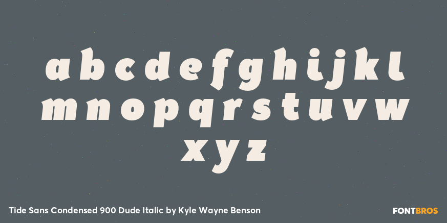 Tide Sans Condensed 900 Dude Italic Font Poster #1
