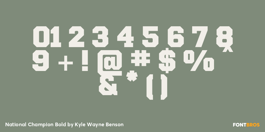 National Champion Bold Font Poster #4